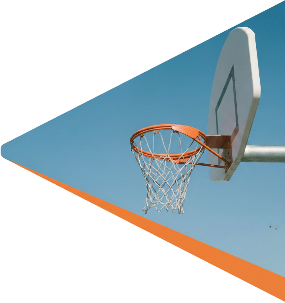 Triangle shape crop of a winter forest with green pines photography